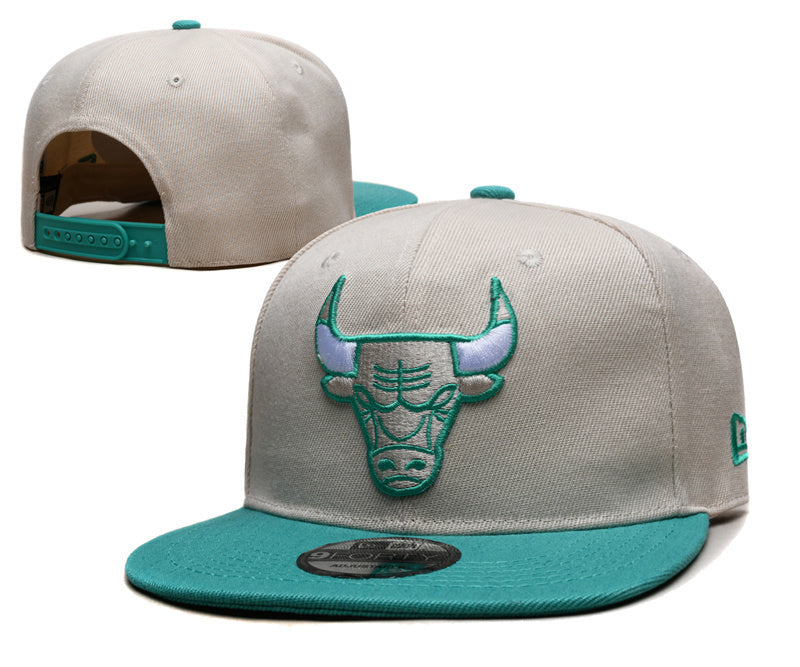Chicago Bulls Light Gray/Teal Green (Teal) 9FIFTY Snapback