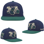 Charlotte Hornets Navy/Green Charlotte Hornets 10th Anniversary/Snapback
