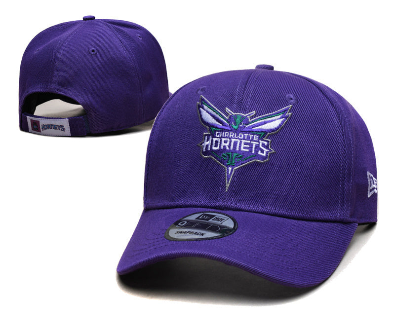 Charlotte Hornets Purple/Green 9FIFTY Snapback
