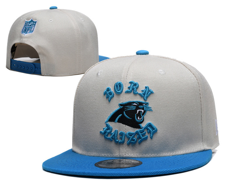 Carolina Panthers Light Gray/Blue Born x Raised x Carolina Panthers 9FIFTY Snapback