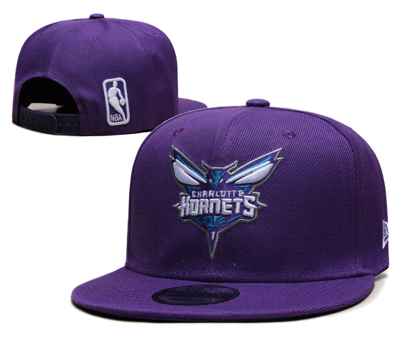 Charlotte Hornets Purple/Navy 9FIFTY Snapback