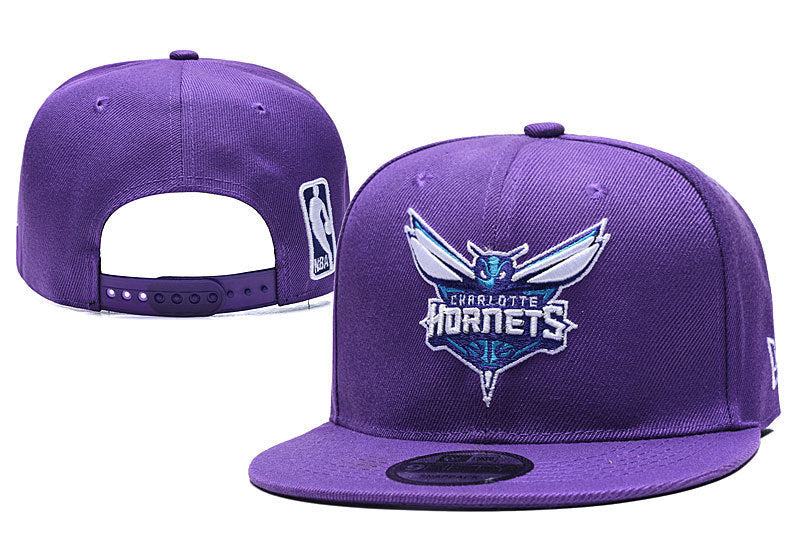 Charlotte Hornets Purple/Teal 9FIFTY Snapback