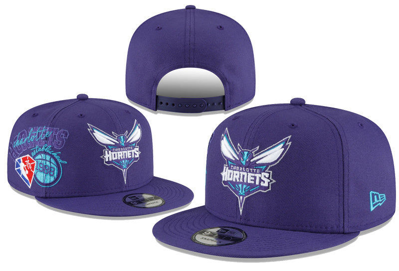 Charlotte Hornets Purple/Blue Tiffany NBA Back Half/Tip-Off Series 9FIFTY Snapback