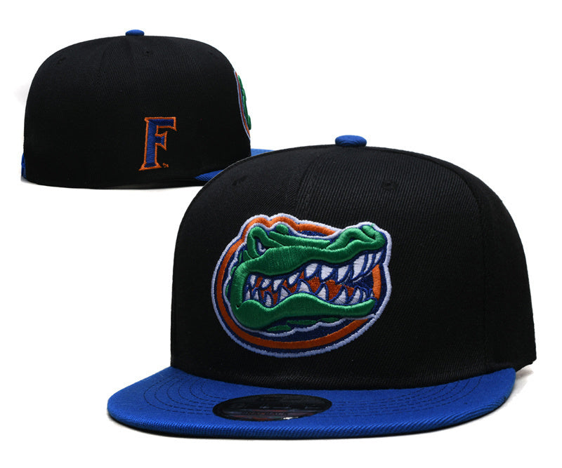 Florida Gators Black/Royal Blue Snapback