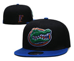Florida Gators Black/Royal Blue Snapback