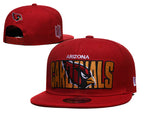 Arizona Cardinals Red/Gold 9FIFTY Snapback