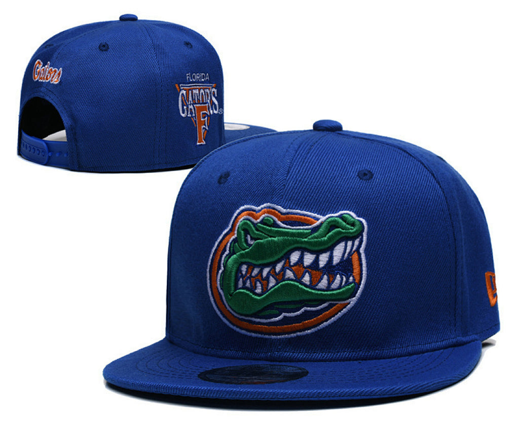 Florida Gators Royal Blue/Orange 9FIFTY Snapback