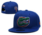 Florida Gators Royal Blue/Orange 9FIFTY Snapback