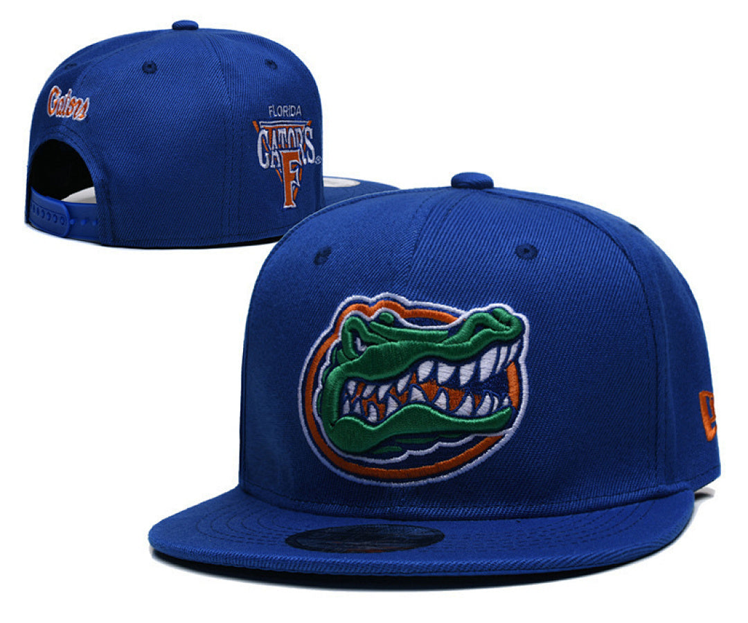 Florida Gators Royal Blue/Orange 9FIFTY Snapback
