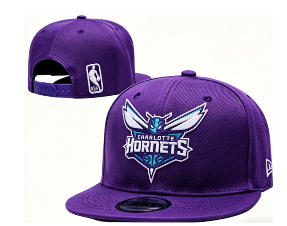 Charlotte Hornets Purple/Green-Água 9FIFTY Snapback